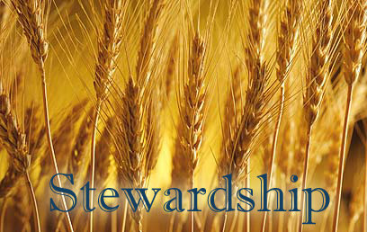 stewardship_wheat